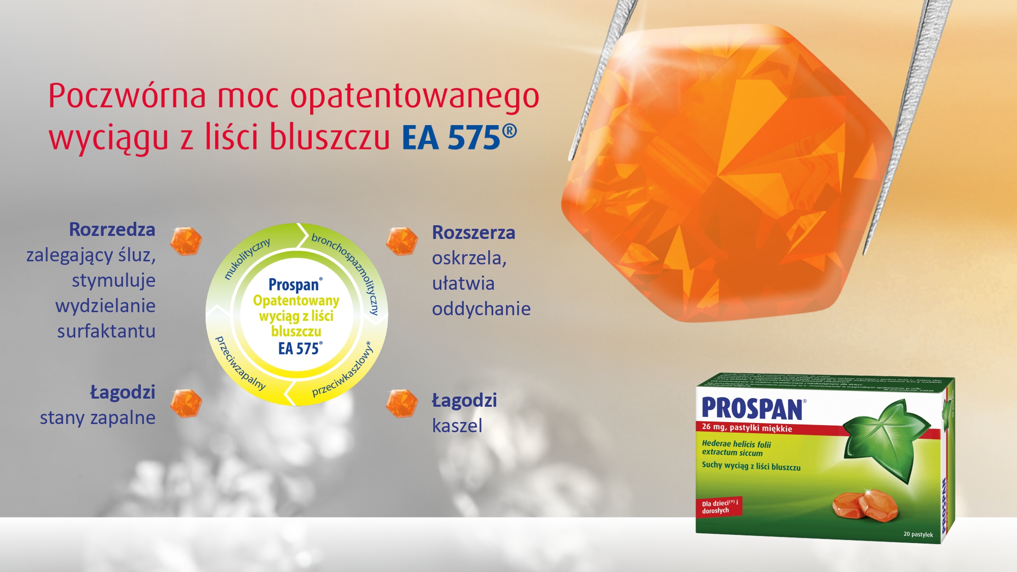2Strony od 180131_Prospan_Akademia Salveo_korektaSL-2_page-0001
